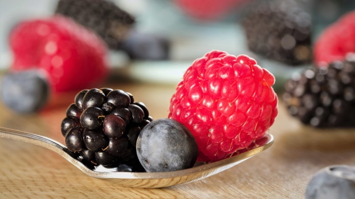 Lesní ovoce: Vzhůru do lesa na maliny, borůvky a ostružiny! Lesní ovoce: Vzhůru do lesa na maliny, borůvky a ostružiny!