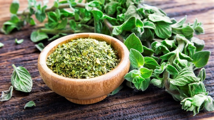 Staročeská dobromysl (oregano) posiluje nervy a zlepšuje náladu Staročeská dobromysl (oregano) posiluje nervy a zlepšuje náladu