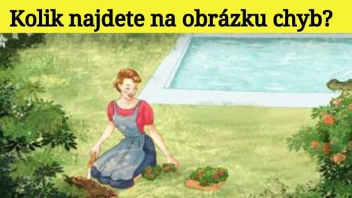 Najdete na obrázku 5 chyb? 3 Najdete na obrázku 5 chyb? 3