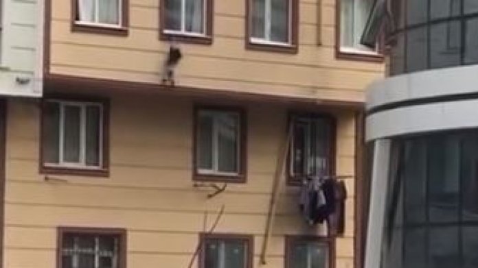 Dvouleté dítě spadlo z okna ve třetím patře Dvouleté dítě spadlo z okna ve třetím patře