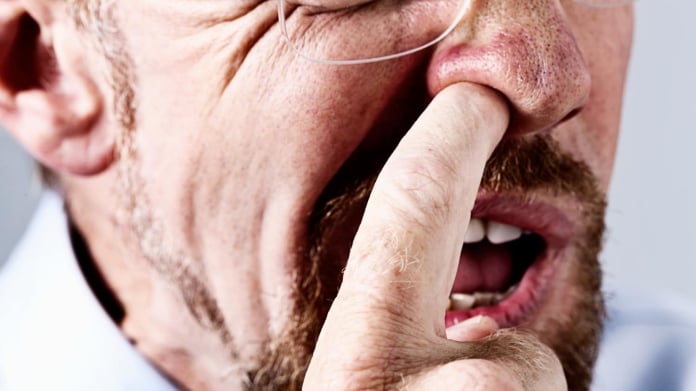 Dloubání v nose a jedení holubů je zdravé Dloubání v nose a jedení holubů je zdravé