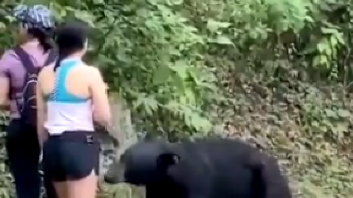 Selfíčko s medvědem 1 Selfíčko s medvědem 1