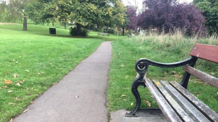 Najdete na fotkách schovaného psa? 1 Najdete na fotkách schovaného psa? 1