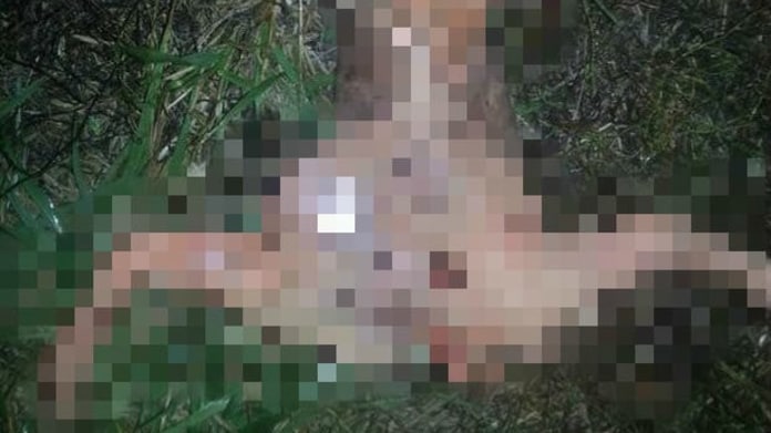 Co to je? Mimozemšťan ,nebo nejapný žert? Co to je? Mimozemšťan ,nebo nejapný žert?