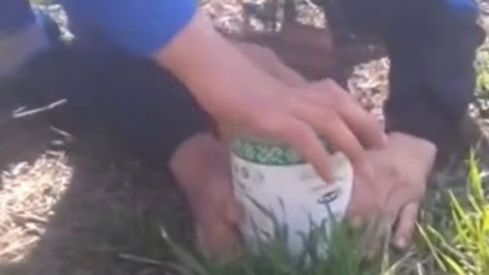 Chtěl chytit zvířátko pod nádobou, ale místo toho naletěl... Chtěl chytit zvířátko pod nádobou, ale místo toho naletěl...