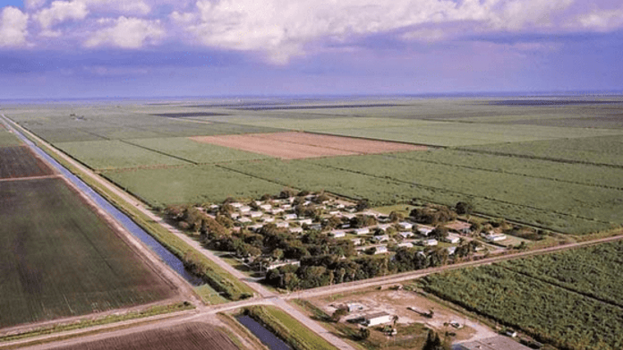 Miracle village uprostřed ničeho...respektive uprostřed polí cukrové třtiny. Miracle village uprostřed ničeho...respektive uprostřed polí cukrové třtiny.
