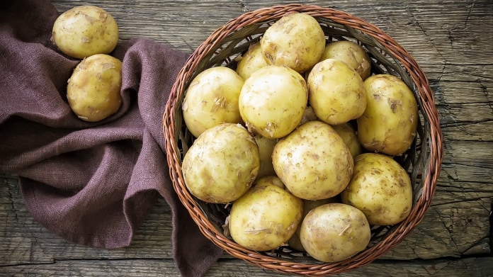Proč české brambory patří k nejkvalitnějším a jak je kupovat Proč české brambory patří k nejkvalitnějším a jak je kupovat