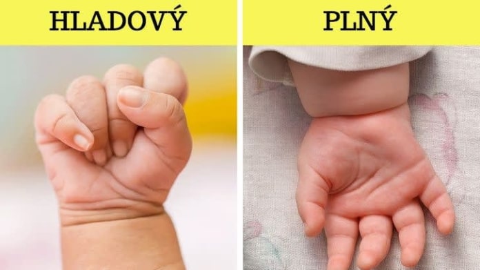 Řeč miminek 5 Řeč miminek 5