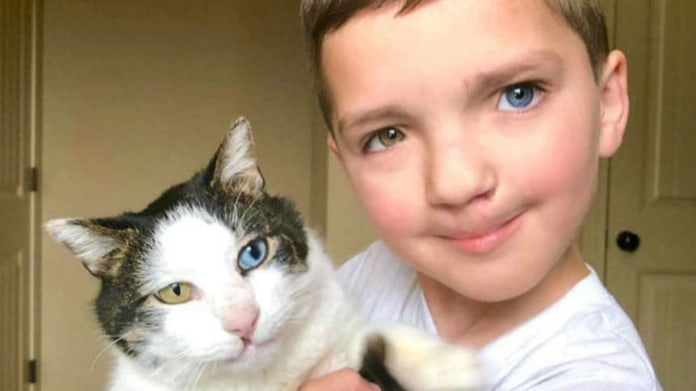 Nádherný příběh chlapce a kočky dojímá internet Nádherný příběh chlapce a kočky dojímá internet