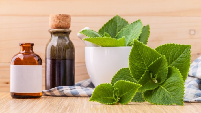 Rýmovník jako sirup a mast Rýmovník jako sirup a mast