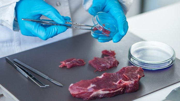 Diagnóza salmonela: Kdo je nejvíc ohrožen a jak se účinně bránit Diagnóza salmonela: Kdo je nejvíc ohrožen a jak se účinně bránit