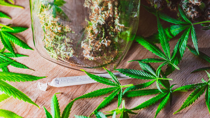 Za očkování joint jako odměna 1 Za očkování joint jako odměna 1