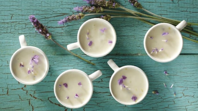 Levandulová panna cotta s čokoládovou omáčkou Levandulová panna cotta s čokoládovou omáčkou