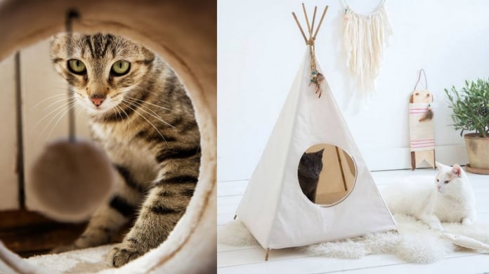 Kočka v moderním bytě 9 Kočka v moderním bytě 9
