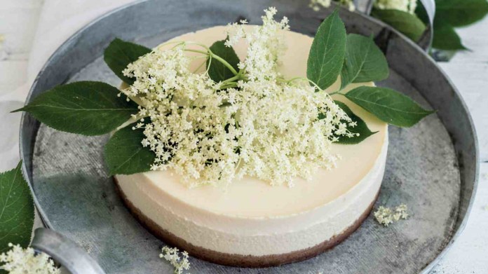 Cheesecake s bezovým květem a citronem Cheesecake s bezovým květem a citronem
