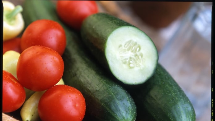 Okurka setá/Cucumis sativus (salátová) Okurka setá/Cucumis sativus (salátová)