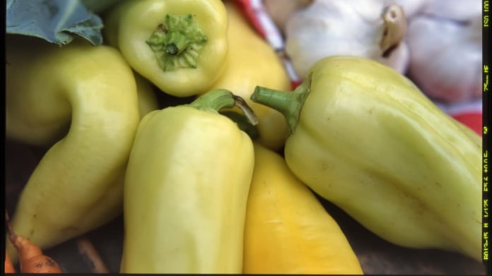 Paprika/Capsicum Paprika/Capsicum