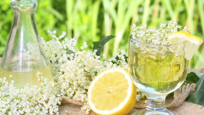 Z květů černého bezu, citrónu a cukru můžete připravit výbornou limonádu nebo sirup Z květů černého bezu, citrónu a cukru můžete připravit výbornou limonádu nebo sirup