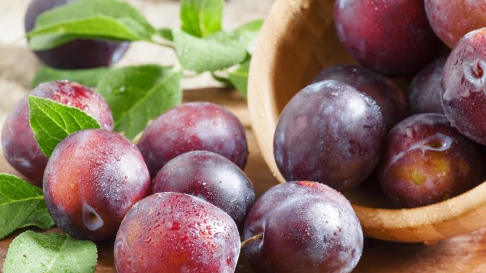 Všechny druhy švestek jsou bohatým zdrojem celé škály vitaminů skupiny B Všechny druhy švestek jsou bohatým zdrojem celé škály vitaminů skupiny B