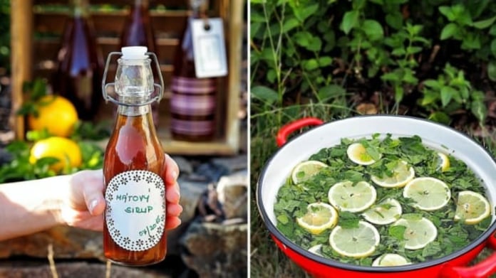 Mátový sirup Mátový sirup