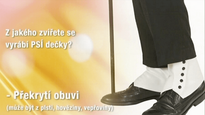 Video VIP zprávy: Jak na tyhle chytáky odpověděly hvězdy? Video VIP zprávy: Jak na tyhle chytáky odpověděly hvězdy?
