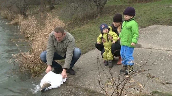 Video VIP zprávy: Hudebník Michal Dvořák z Lucie radši kapra na Vánoce pustí a na štědrý večer si dá řízek! Video VIP zprávy: Hudebník Michal Dvořák z Lucie radši kapra na Vánoce pustí a na štědrý večer si dá řízek!