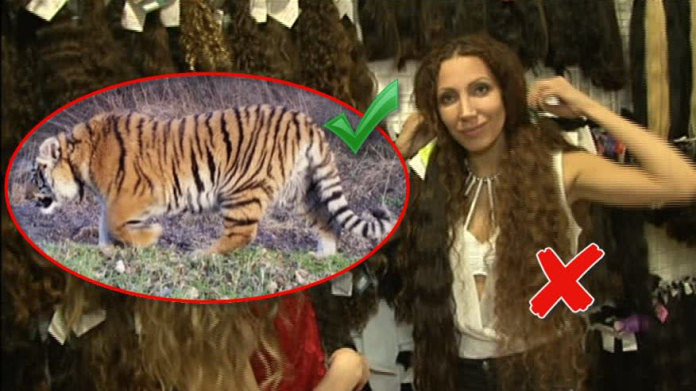 Video VIP zprávy: Olga Lounová má zase něco extra... Video VIP zprávy: Olga Lounová má zase něco extra...