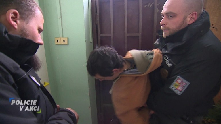 Policie v akci II (339) Policie v akci II (339)