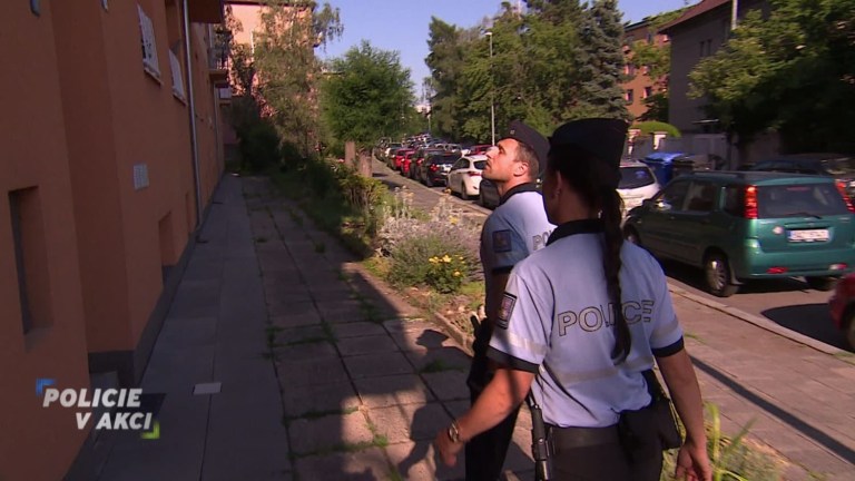 policie 85 2 policie 85 2