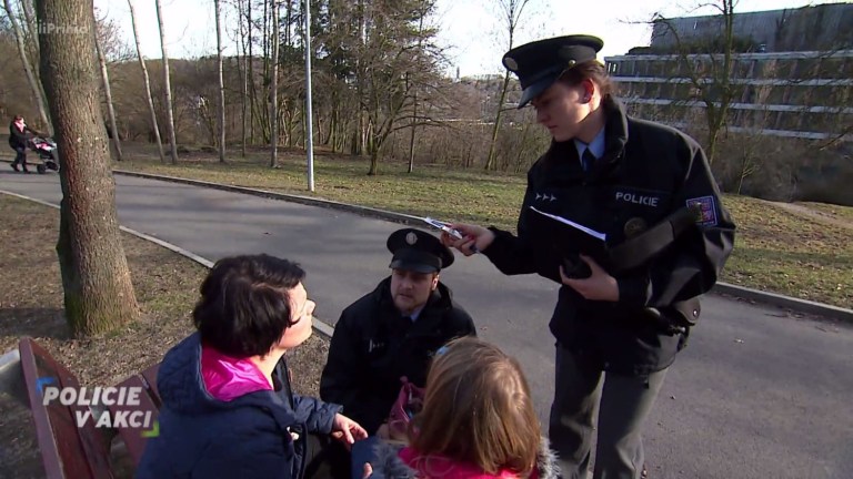 Policie v akci II (309) Policie v akci II (309)