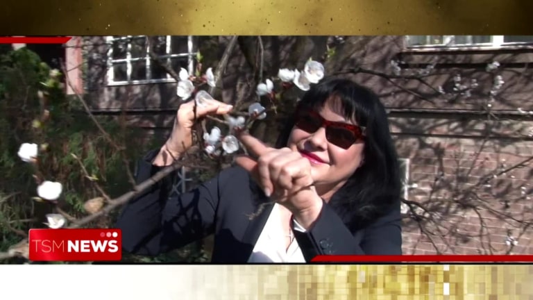 TOP STAR magazín 2019 (25): Dáda Patrasová si uřízla pěknou ostudu TOP STAR magazín 2019 (25): Dáda Patrasová si uřízla pěknou ostudu