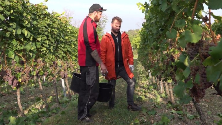 Těžká dřina 2018 (10) Těžká dřina 2018 (10)