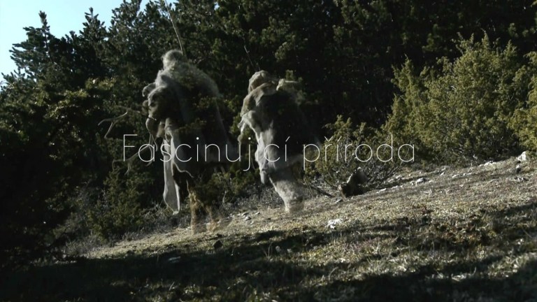 Odkaz neandertálců - upoutávka Odkaz neandertálců - upoutávka