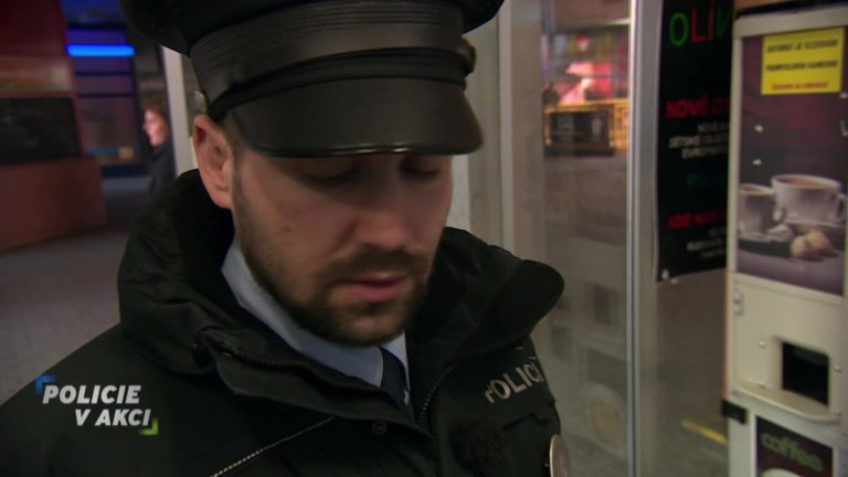 Policie v akci II (213) Policie v akci II (213)