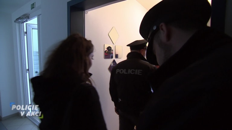 Policie v akci II (250) Policie v akci II (250)