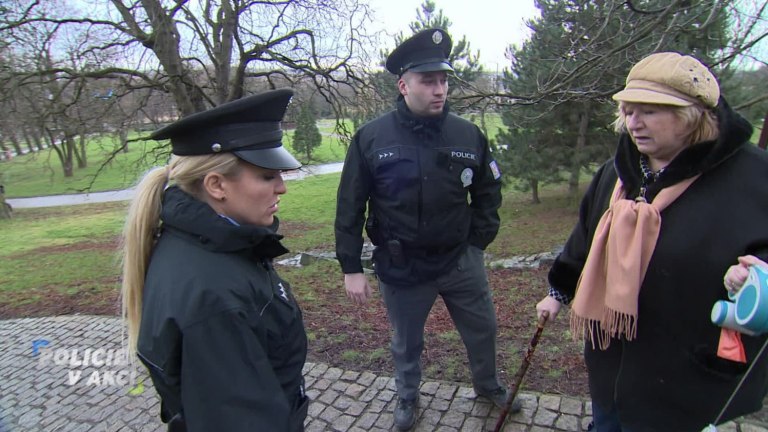 Policie v akci II (185) Policie v akci II (185)