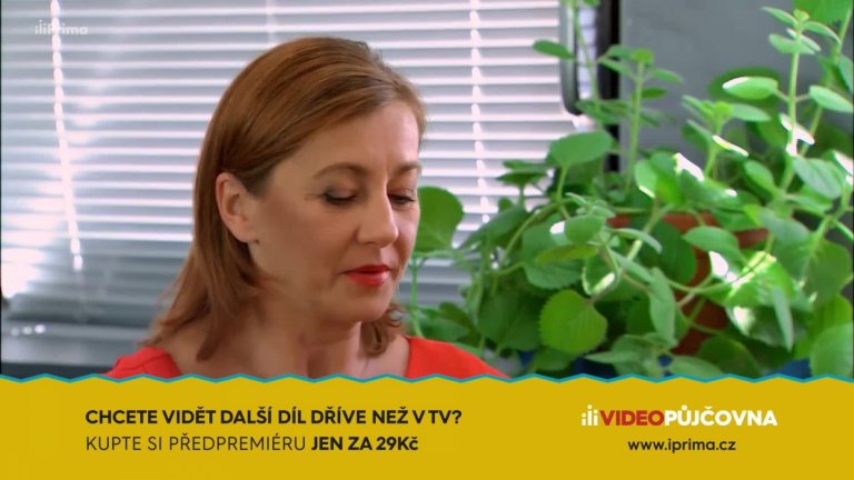 Krejzovi (111): Sušenky z konopí Krejzovi (111): Sušenky z konopí