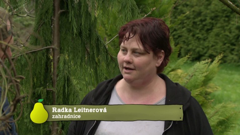Vychytávky Ládi Hrušky 2016 (10) Vychytávky Ládi Hrušky 2016 (10)