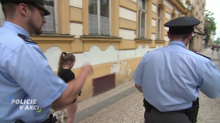 Policie v akci II (291) Policie v akci II (291)
