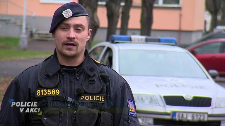 Policie v akci II (207) Policie v akci II (207)