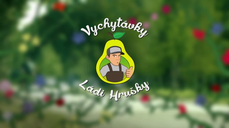Vychytávky Ládi Hrušky 2018 (18) Vychytávky Ládi Hrušky 2018 (18)