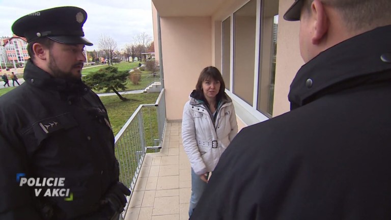 Policie v akci II (348) Policie v akci II (348)
