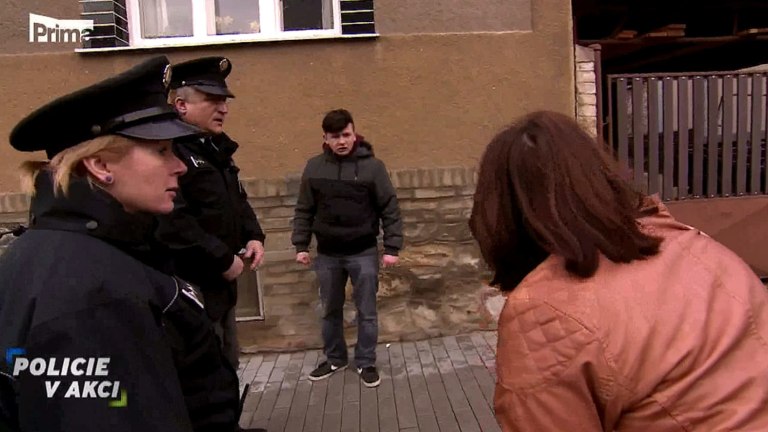Policie v akci II (16) Policie v akci II (16)