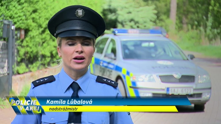 Policie v akci II (90) Policie v akci II (90)