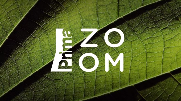 Zoom: image spot 3 Zoom: image spot 3