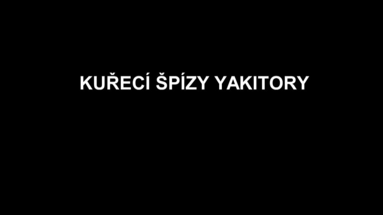 Kuřecí špízy Yakitori Kuřecí špízy Yakitori