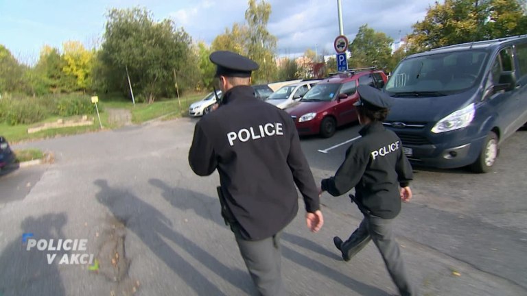 Policie v akci (31) Policie v akci (31)