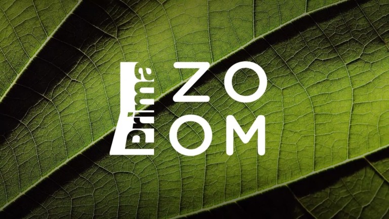 Zoom: image spot 2 Zoom: image spot 2