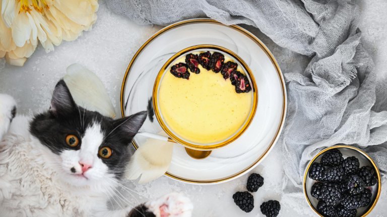 Domácí vanilkový pudink podle Cat &amp; Cook