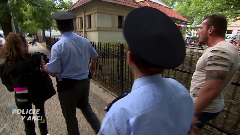 Policie v akci II (301) Policie v akci II (301)